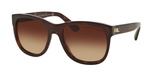 Okulary RALPH LAUREN RL8141-50033B. Okulary przeciwsłoneczne, Kolor brązowy. Kobieta.