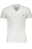 Koszulka t-shirt