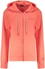 Bluza