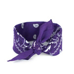 Bandana Classic Rebel