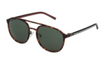Okulary CONVERSE SCO145547VEP. Okulary przeciwsłoneczne, Kolor brązowy. Mężczyzna.