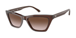 Okulary EMPORIO ARMANI EA4169-591013. Okulary przeciwsłoneczne, Kolor brązowy. Kobieta.
