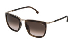Okulary LOZZA SL2283M5508FF. Okulary przeciwsłoneczne, Kolor złoty. Unisex.