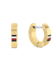 Biżuteria TOMMY HILFIGER 2790586. Kolczyki, Kolor złoty. Unisex.