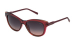 Okulary STING SST010530AGW. Okulary przeciwsłoneczne, Kolor BORDEAUX. Mężczyzna.