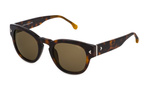 Okulary LOZZA SL42634909AJ. Okulary przeciwsłoneczne, Kolor brązowy. Unisex.